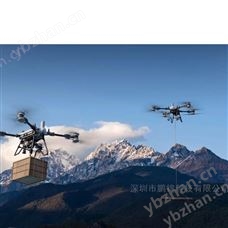 FC200大疆FlyCart 200旗艦級智能運載無人機