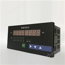 NPXJ-C2000智能數顯巡回檢測儀