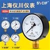上海儀川儀表 Y-100 1.6MPA徑向