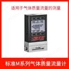 氣體質量流量計 免維護 長期穩定運行