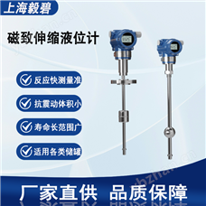 Eby-YC300Q1YG31BE毅碧-磁致伸縮液位計(jì)