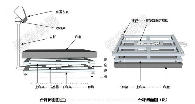 物流电子台秤