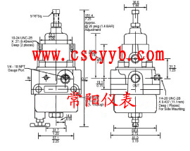 T50,T-50, T-50,T50型過濾減壓調壓器