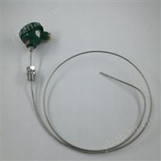 扁接插式鎧裝熱電阻
