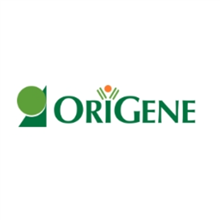 OriGene蛋白代理