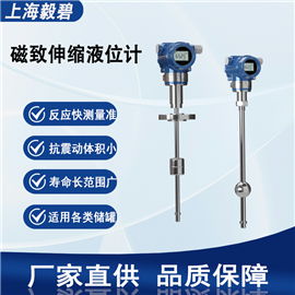 Eby-YC300Q1YG31BE毅碧-磁致伸縮液位計