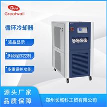 LT-100-80超低溫循環冷卻器