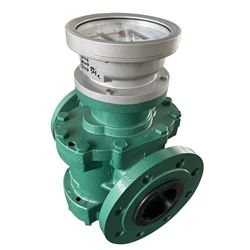 DN65指针式流量计