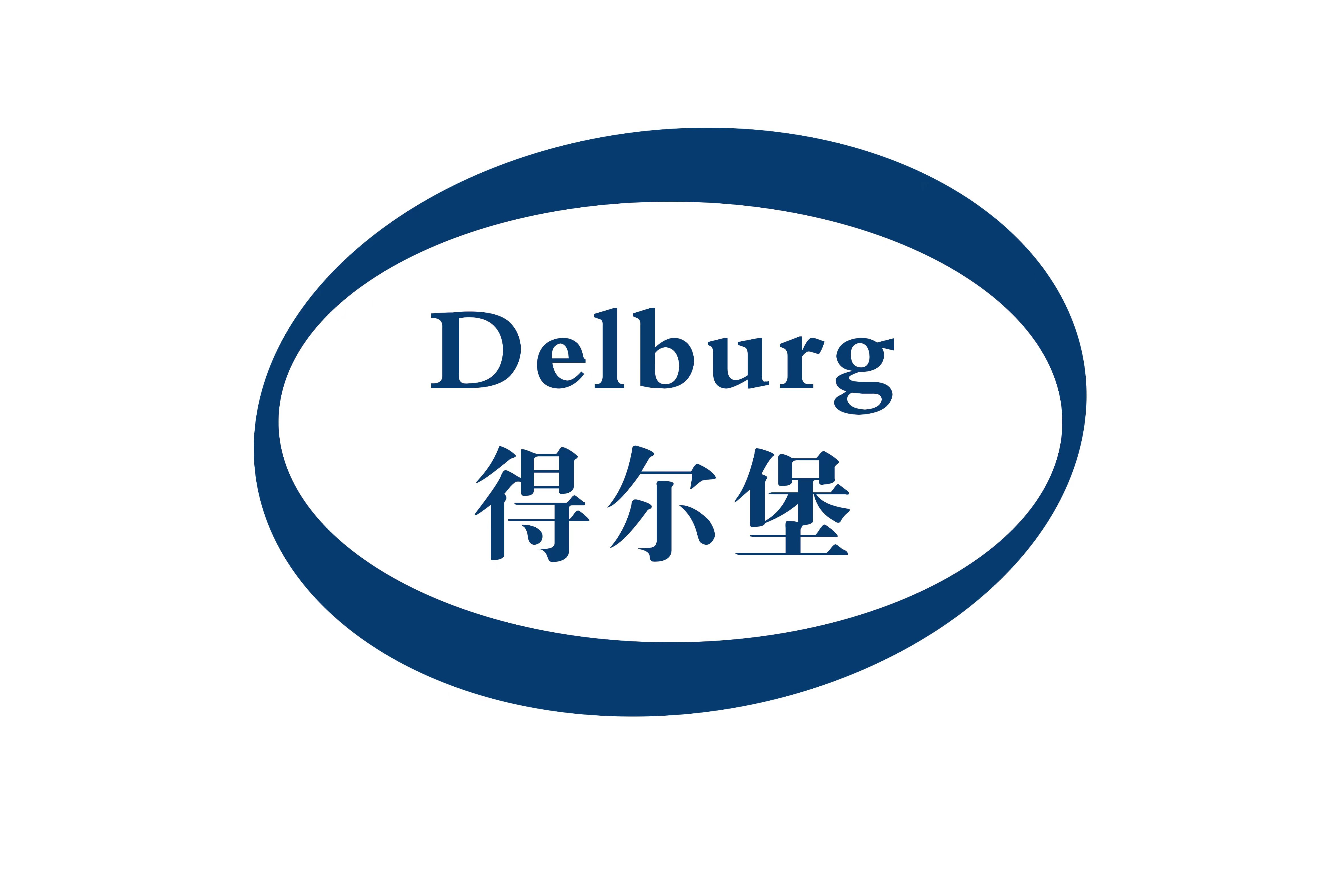 珠海得爾堡科技有限公司