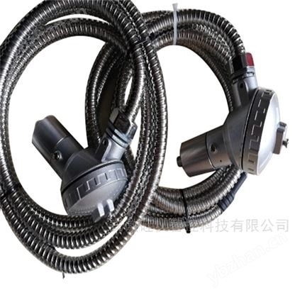 一体振动变送器4-20mA输出  CD-21