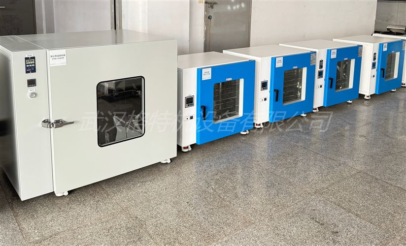 ¹̻ת-ȹ̻-ϻ-̻vlog