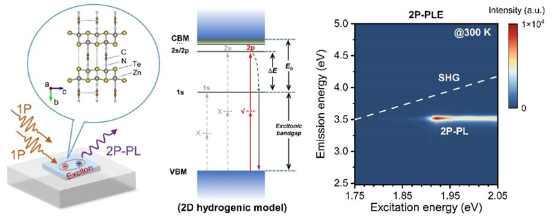 뵼άл޻ӻ뵼弤оȡҪչ