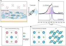 为高性能二次电池中快速离子传输机制提供新解释，复旦大学与西湖大学团队合作成果登上Nature