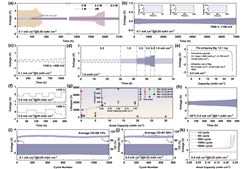 上海硅酸盐所研制出超高面容量负极和低温耐受性的镁金属电池