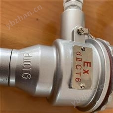 TP-R48防爆热电偶\自动化成套