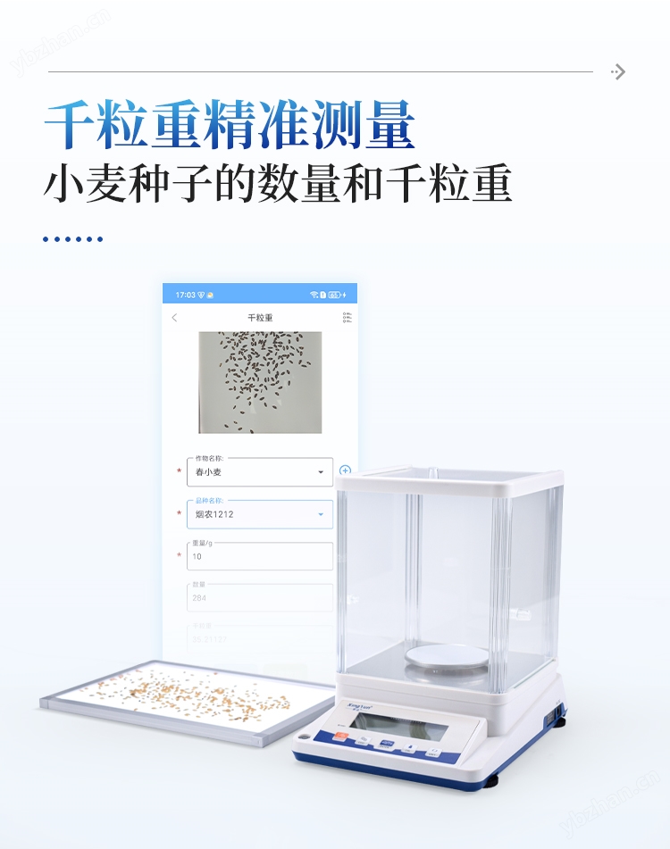 详请_06.jpg