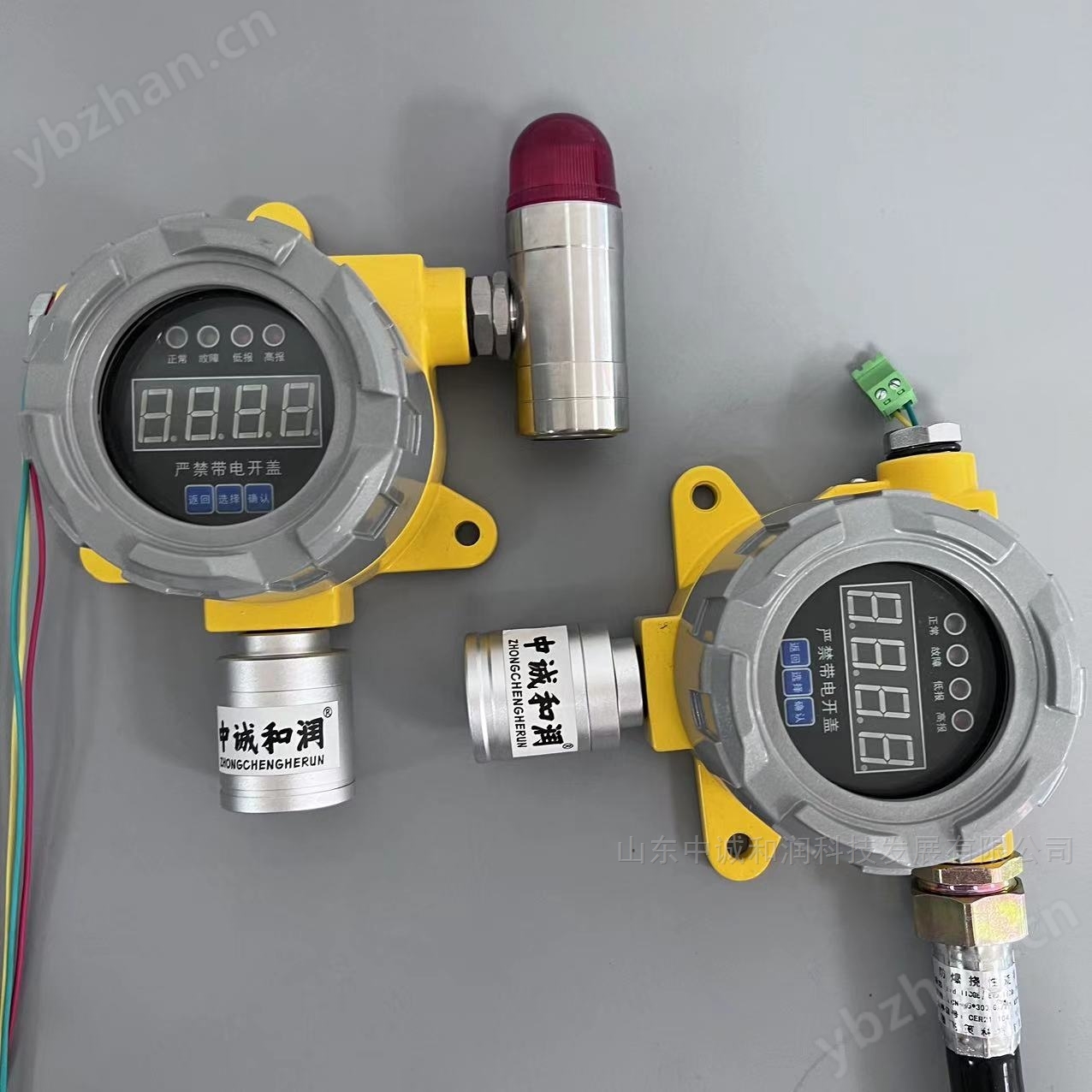 石化公司丙烷气体浓度泄漏报警器