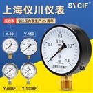 上海儀川儀表 Y-100 1.6MPA徑向