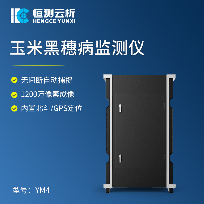 YM4.jpg
