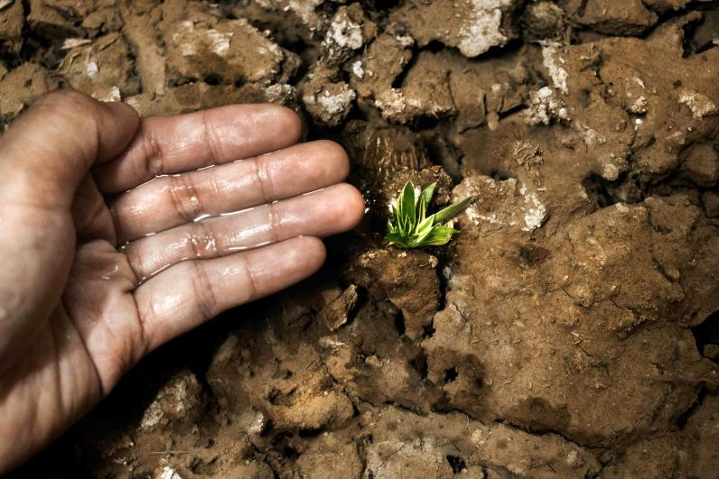 告别传统局限：低场核磁共振技术如何革新土的保水能力评价