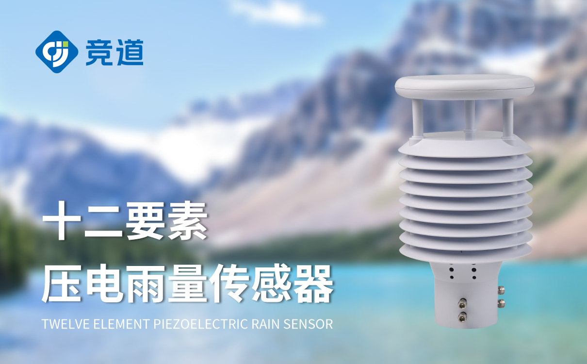 壓電十二要素傳感器