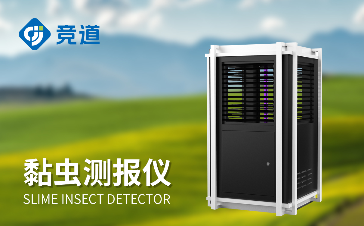 小麦黏虫监测仪