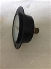 天康軸向帶邊壓力表特征-軸向壓力表